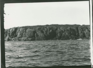Image: East Side Gannet Island
